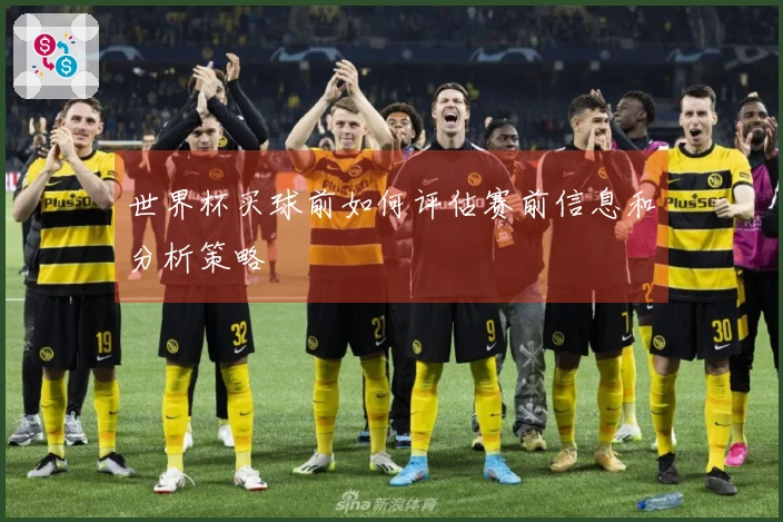 世界杯买球前如何评估赛前信息和分析策略