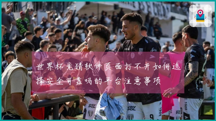 世界杯竞猜软件页面打不开如何选择安全可靠吗的平台注意事项